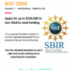 NSF SBIR Phase I Template