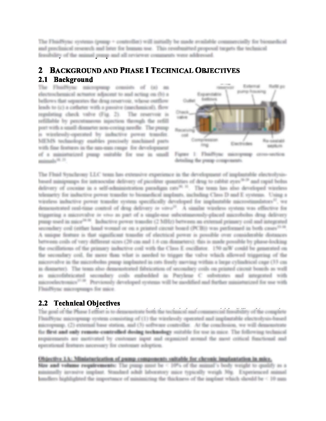 Proposal Example NSF SBIR Phase 1 Medtech Founder